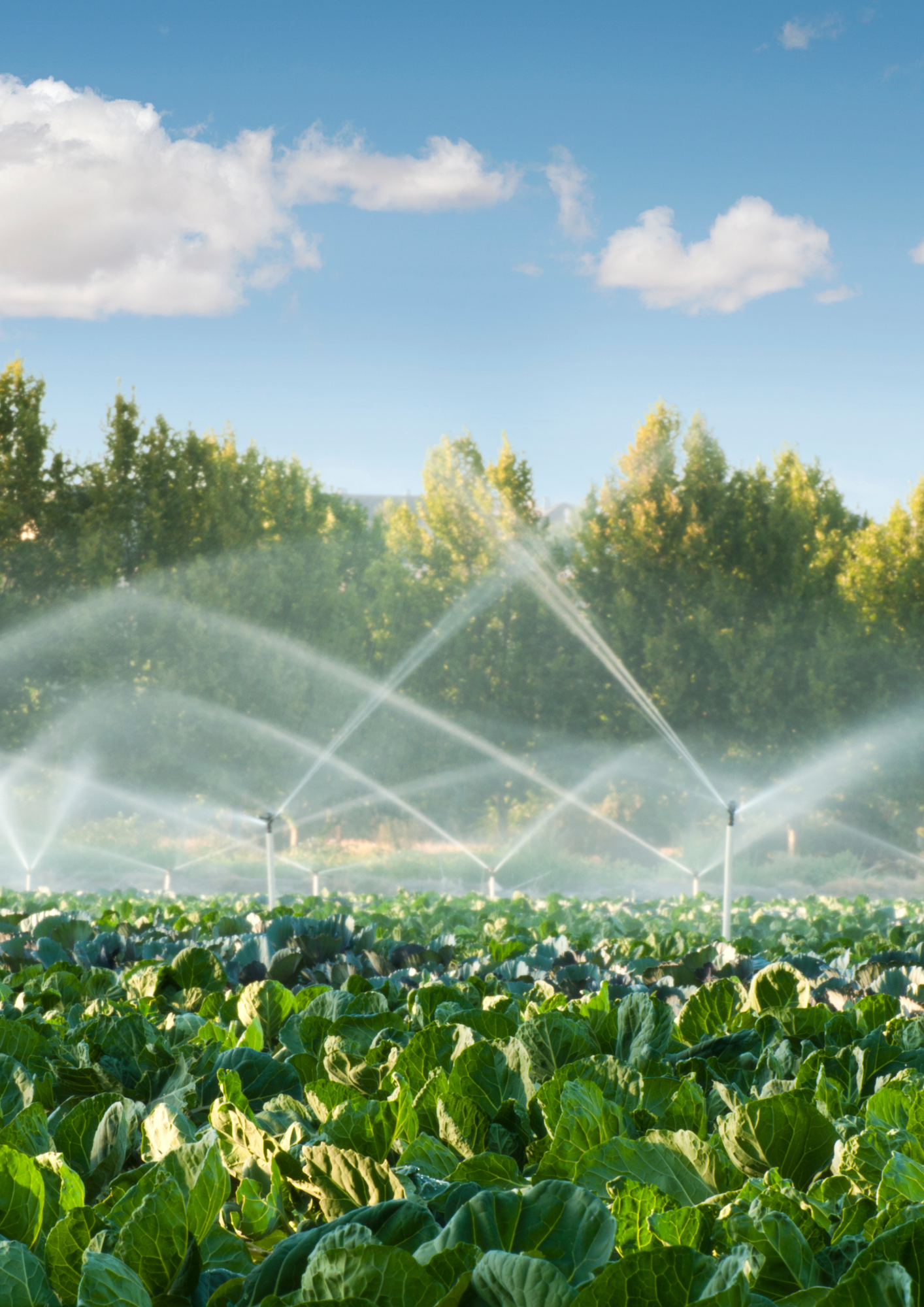 Agricultural Irrigation